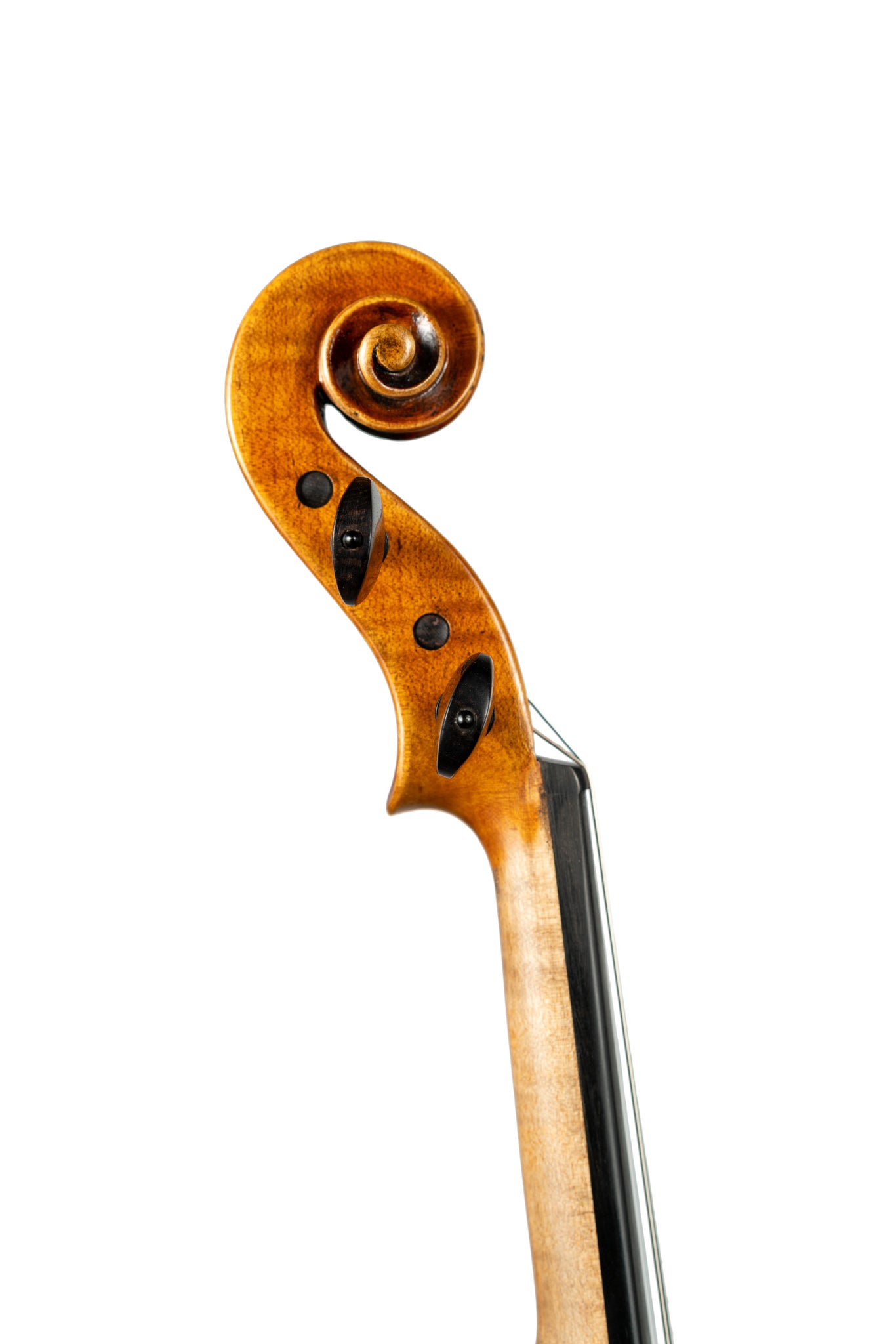 DCM BL-500 Violin