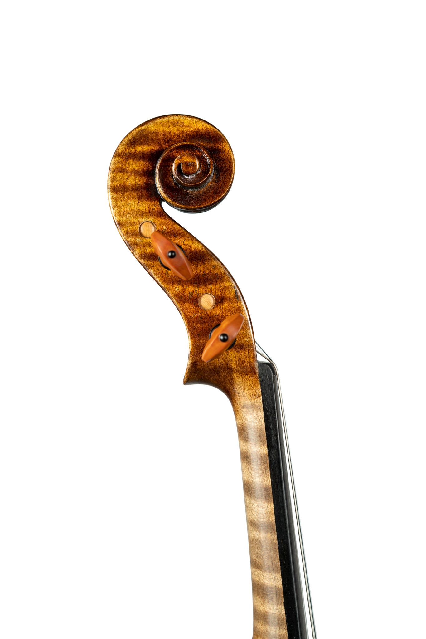 BL-600 Violin
