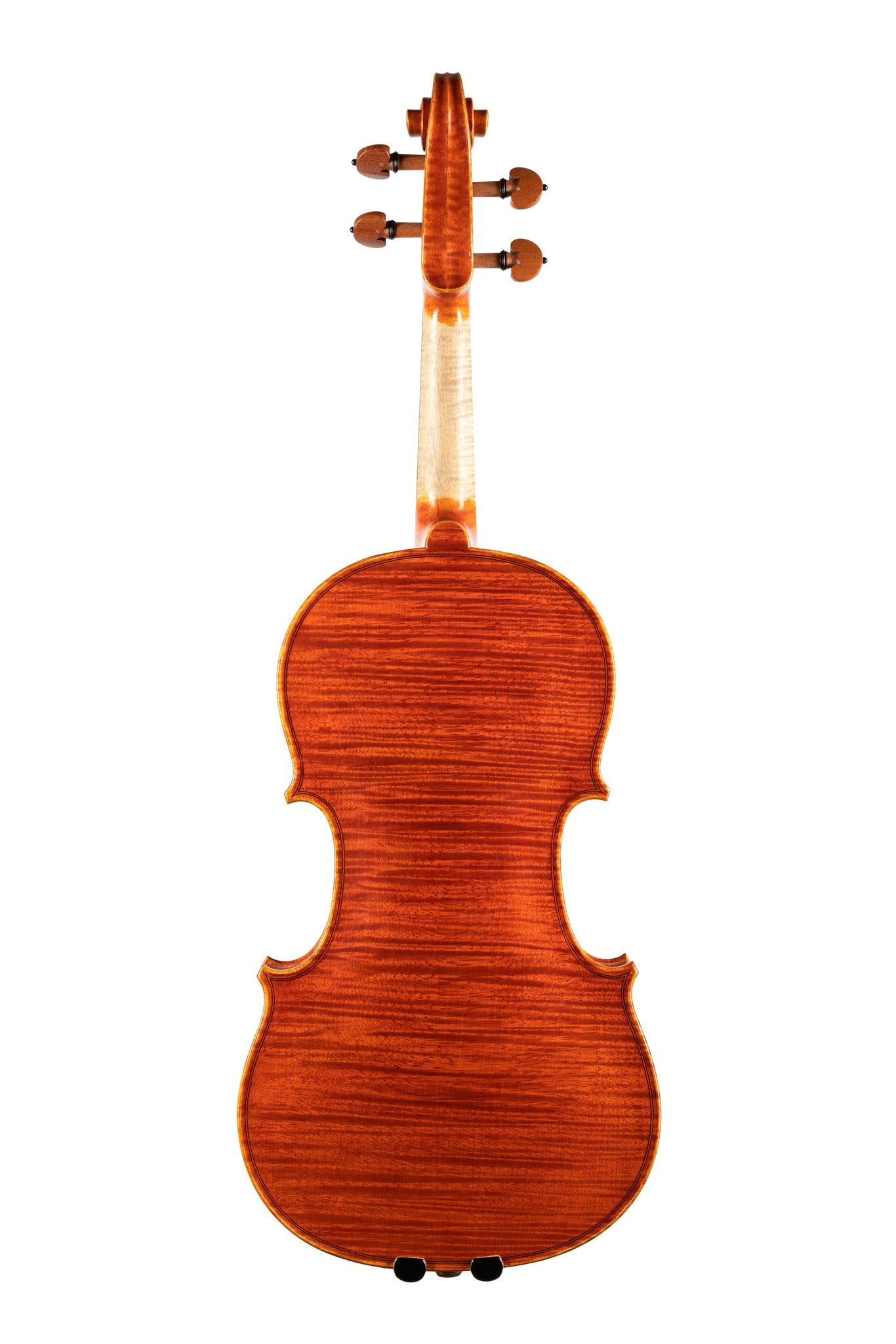 BL-800小提琴
