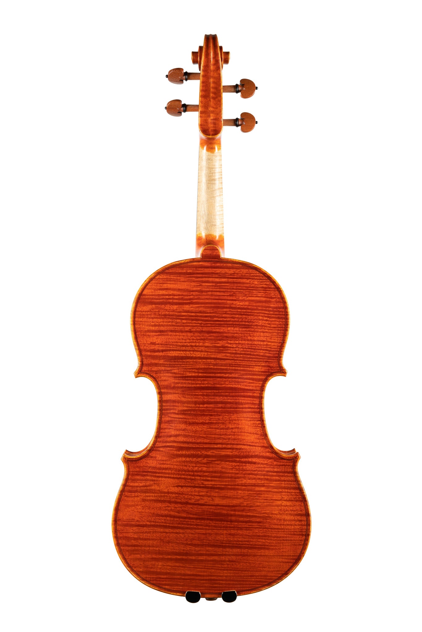 BL-800 Violin