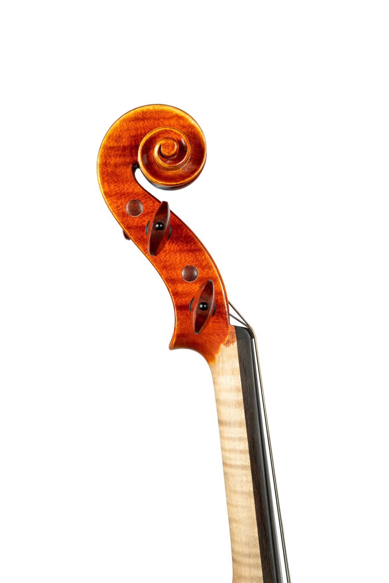 BL-800小提琴