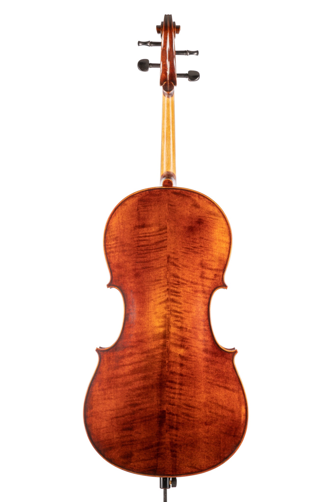 BL-300 大提琴