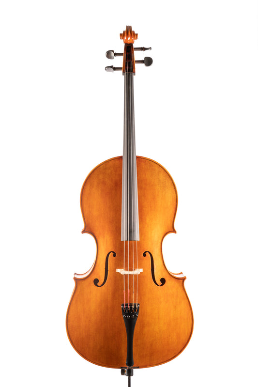 BL-500 大提琴