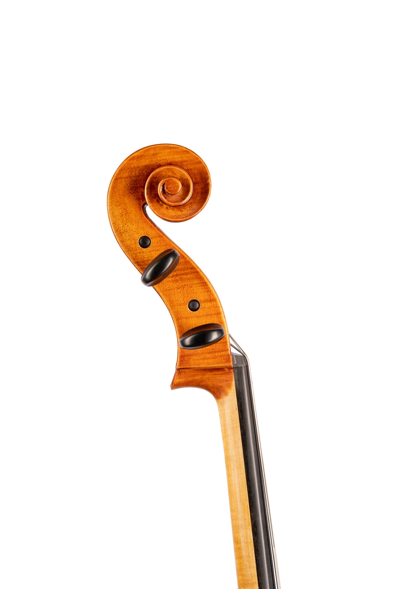 BL-500 大提琴