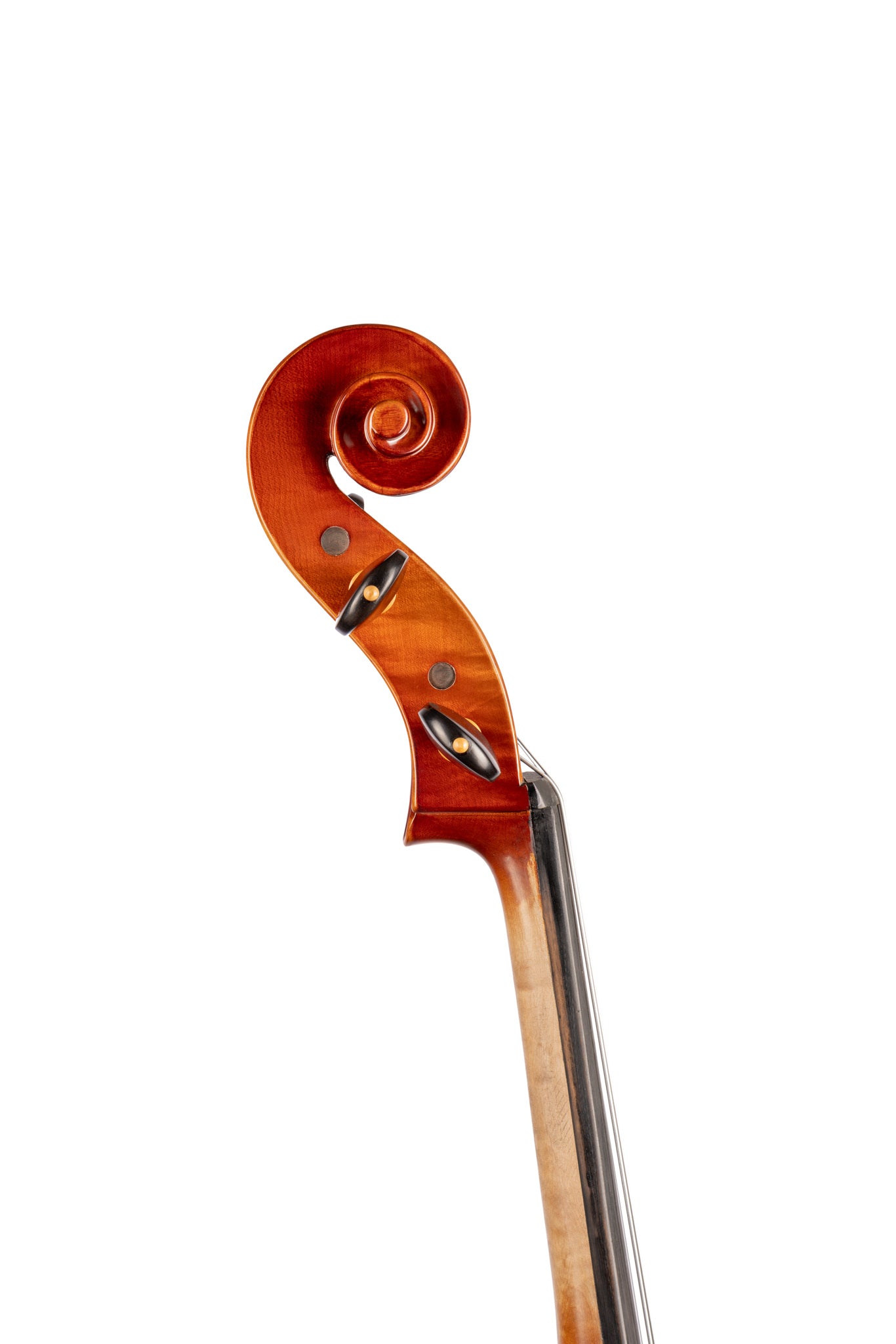 WY-300 大提琴