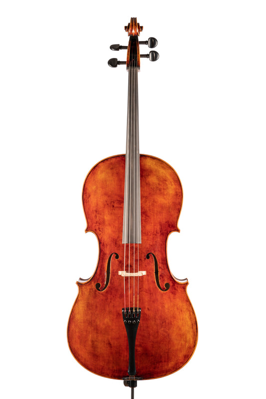 WY-500 大提琴