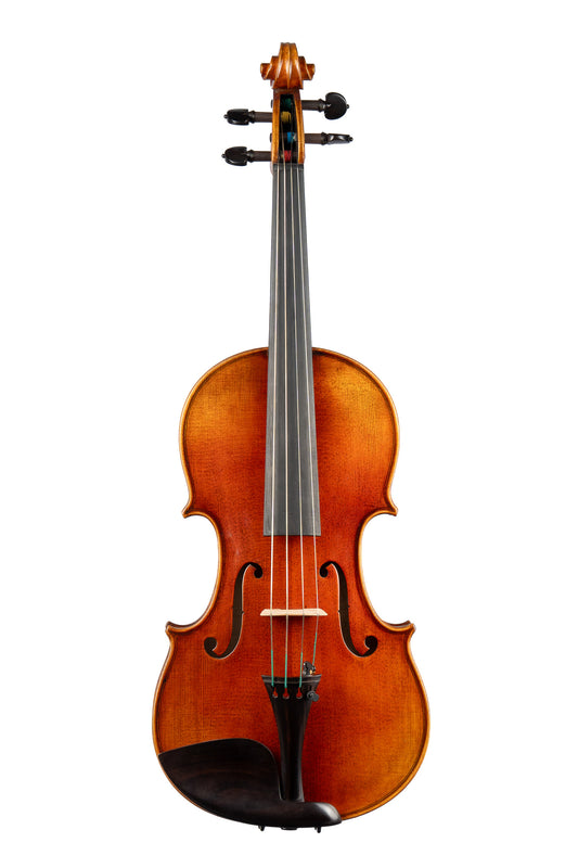 BL-500 Viola