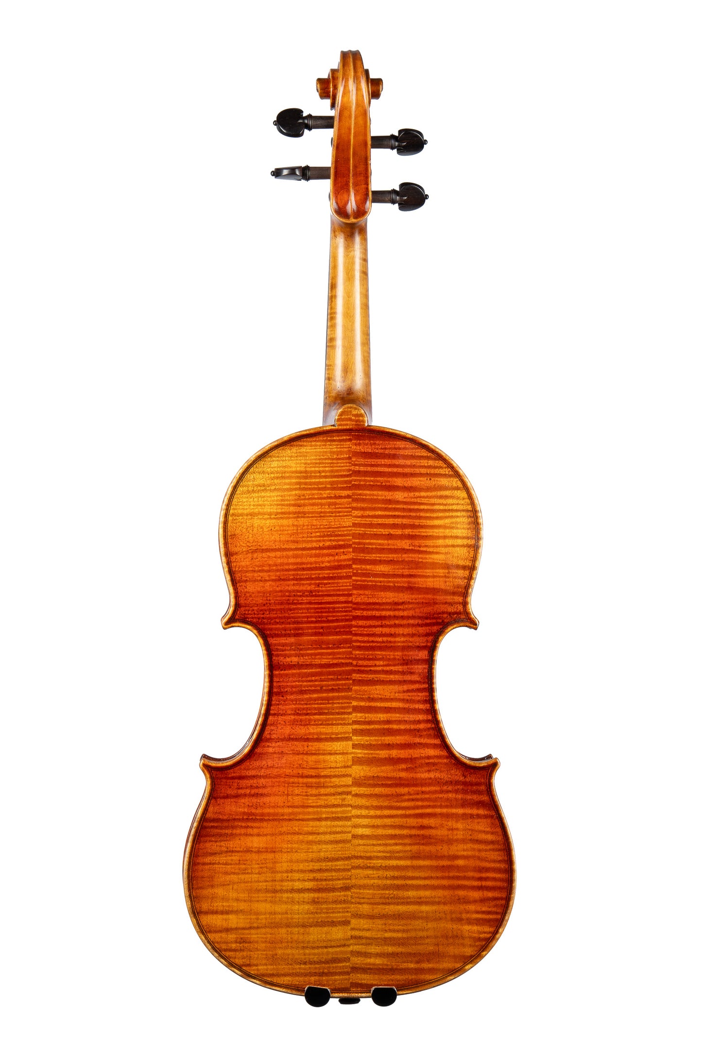 BL-500 Viola