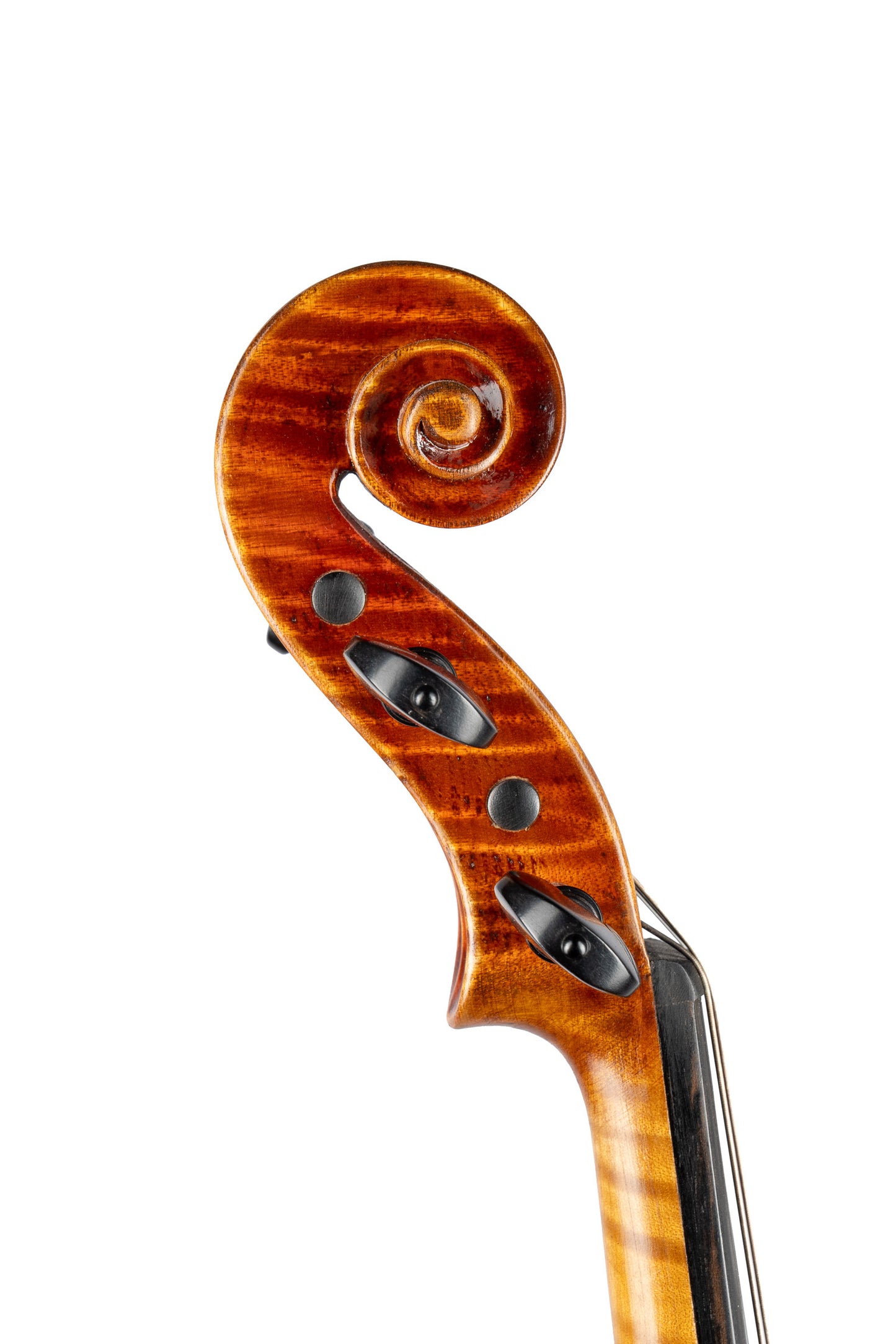BL-500 中提琴