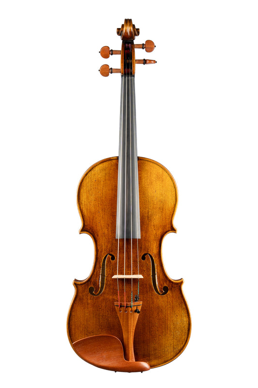 DCM BL-600 Professional Viola