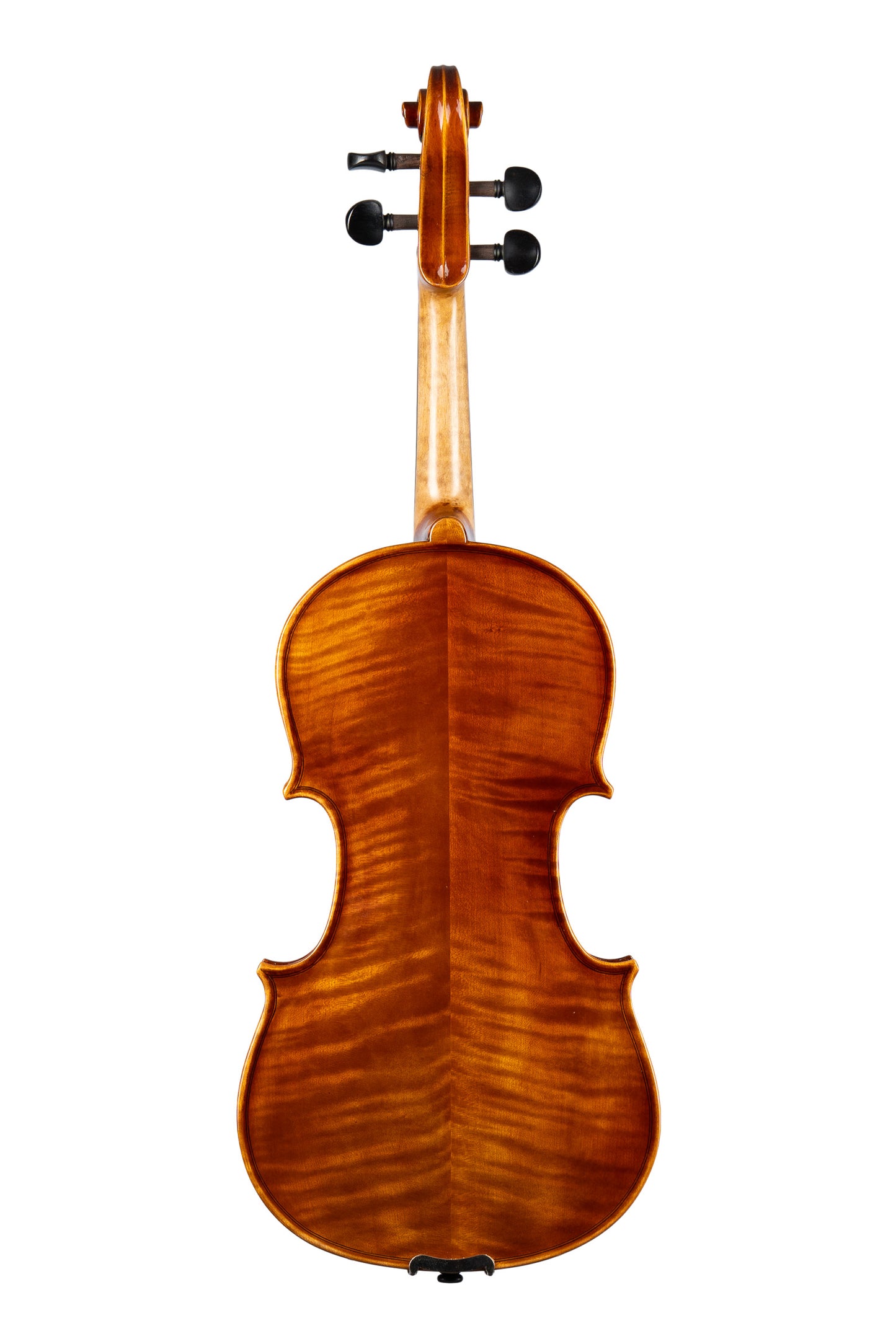 WY-300 Viola