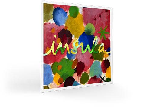 Insula Violin Strings (4/4 Size)