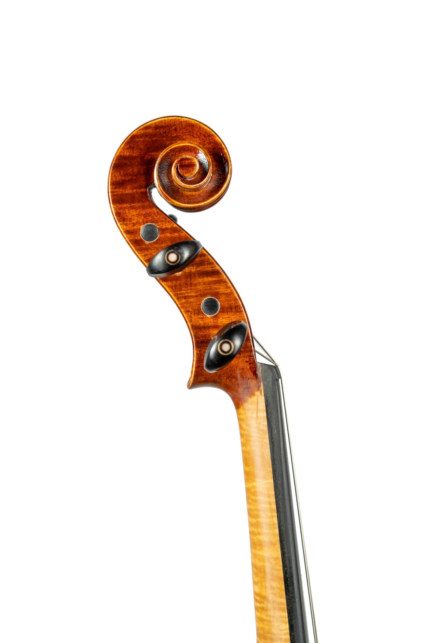 BL-300 Violin