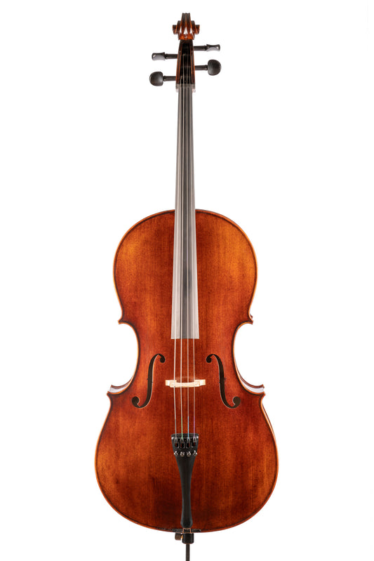 BL-300 大提琴
