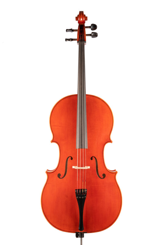 BL-600 大提琴