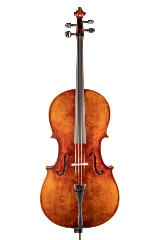 WY-600 大提琴